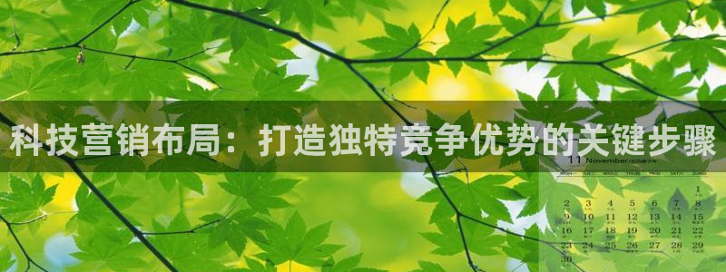 金年会体育平台官网app