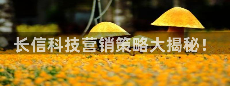 金年会体育app下载官网安卓