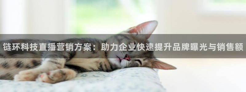 金年会体育买球app下载安卓