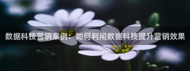 金年会体育官方app下载安装