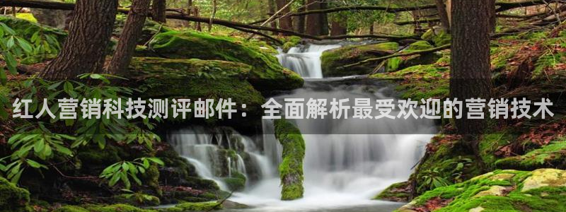 金年会能赢吗