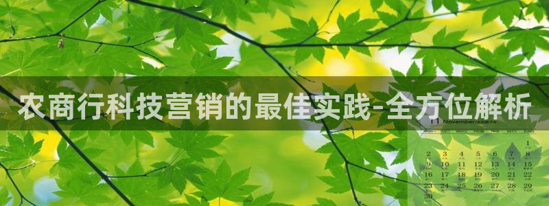 金年会网站入口官网