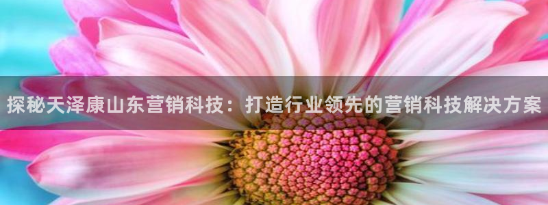 金年会官方在线入口网址大全