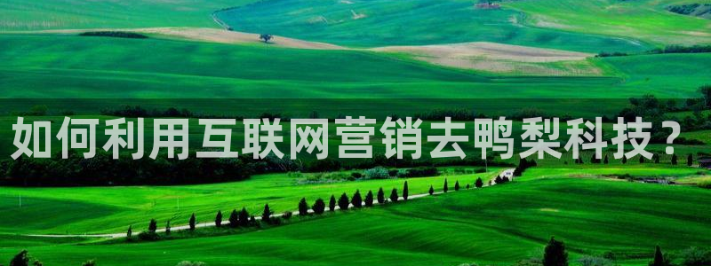 金年会在线入口