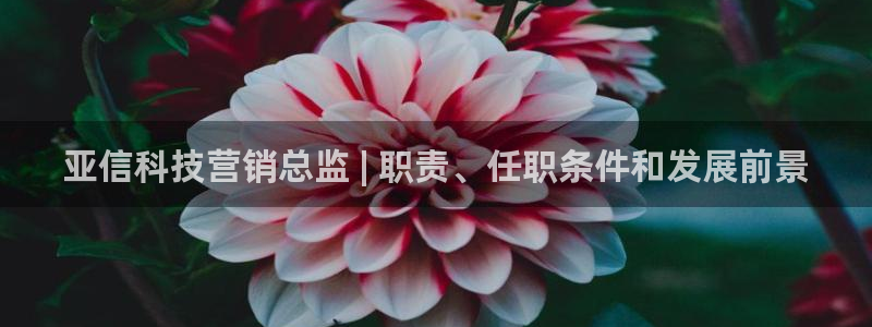 金年会体育平台新地址