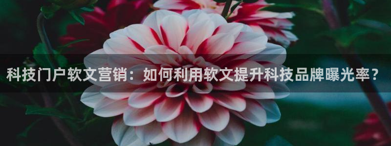 金年会App官方下载