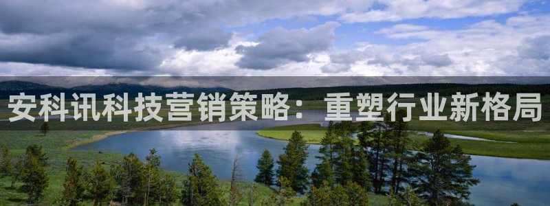 金年会体育app平台怎么样
