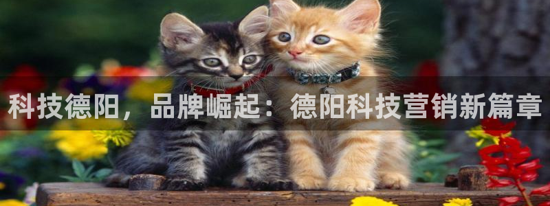 金年会体育全站