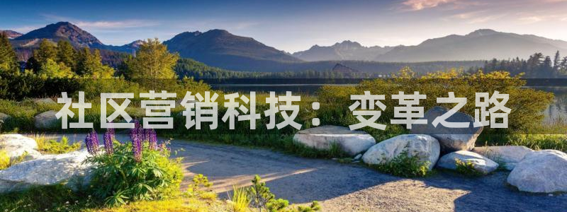 金年会体育平台注册