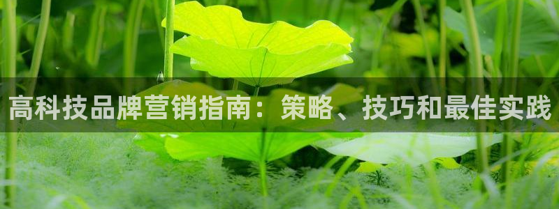 金年会金字招牌是什么意思
