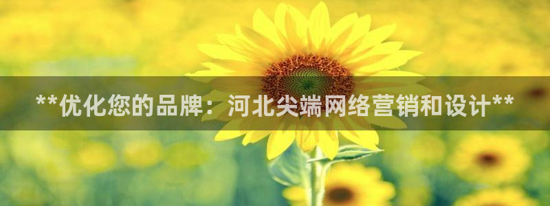 金年会金字招牌荣誉至上