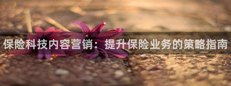 金年会网登录平台入口金年会