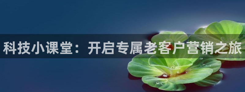 金年会体育官网登录入口