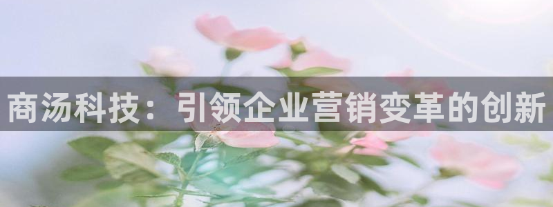 金年会黑不黑