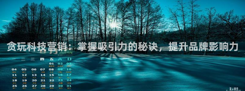 金年会金字招牌是什么意思