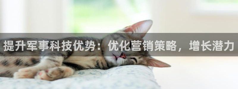 金年会体育在线