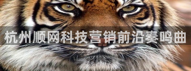 金年会官方入口登录