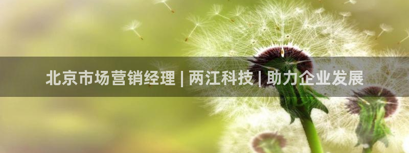 金年会官方入口app