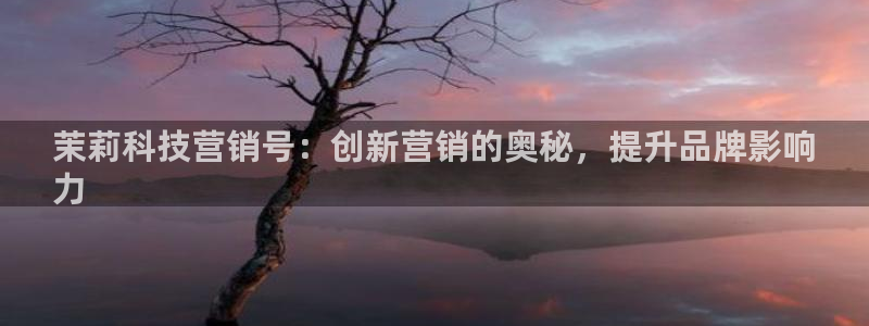 jinnianhui金年会世界杯