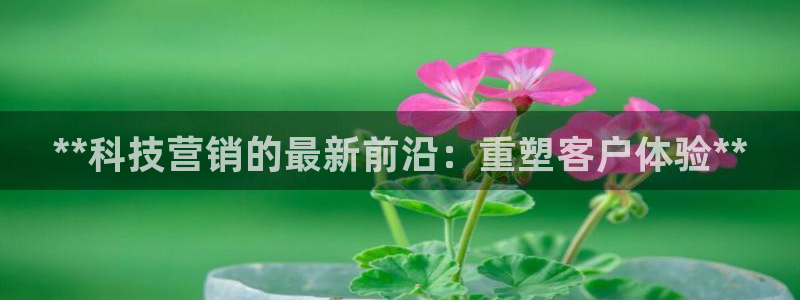 jinnianhui金年会下载