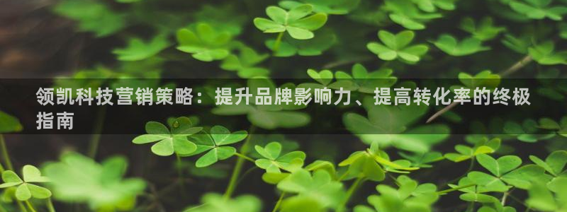 金年会网站拒绝出款怎么办理