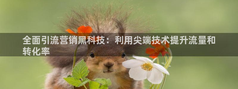 金年会官方下载入口