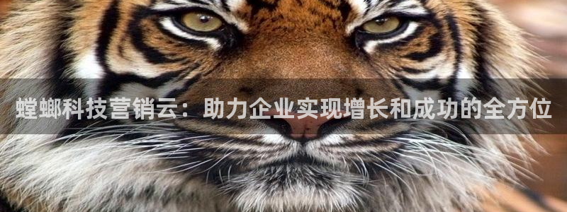 金年会官方网站入口登录网址