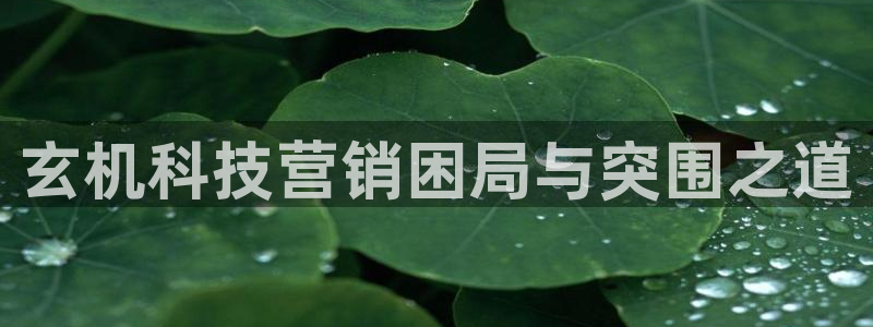 金年会官方入口网站下载