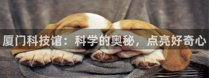 金年会官方在线入口网站下载