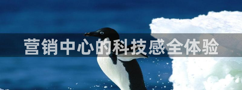 金年会体育中心
