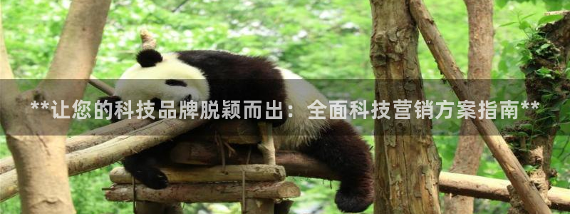 金年会体育官网是多少