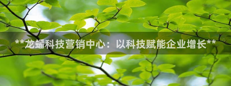 金年会体育app下载官网安卓