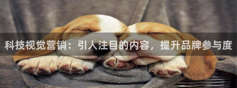 金年会在线入口登陆