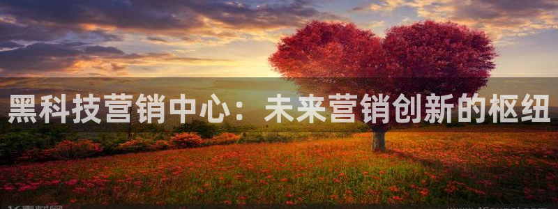 金年会官方网址查询