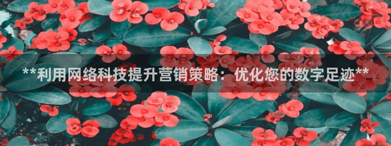 金年会体育app最新下载
