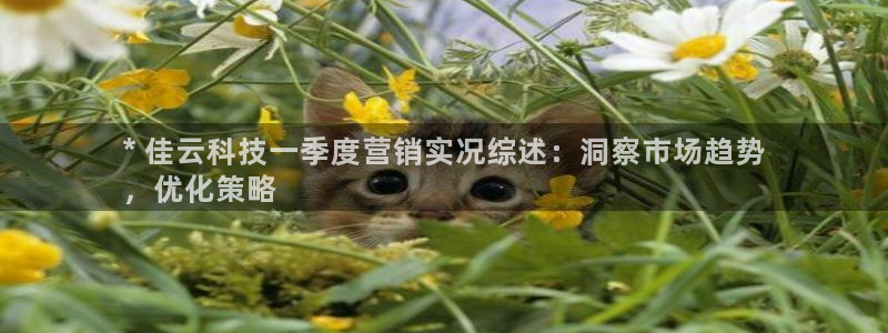 金年会体育全站