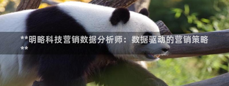 金年会下载地址