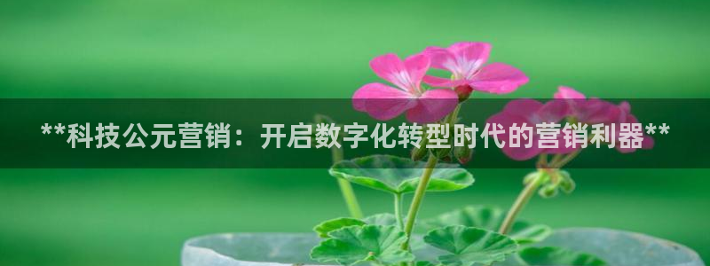 金年会在线入口2023