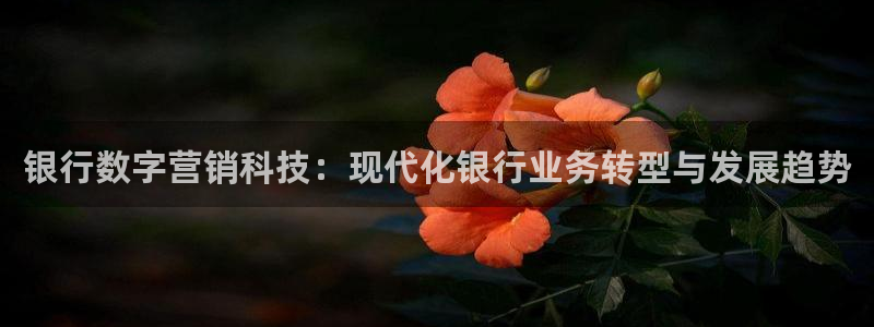金年会金字招牌是什么意思