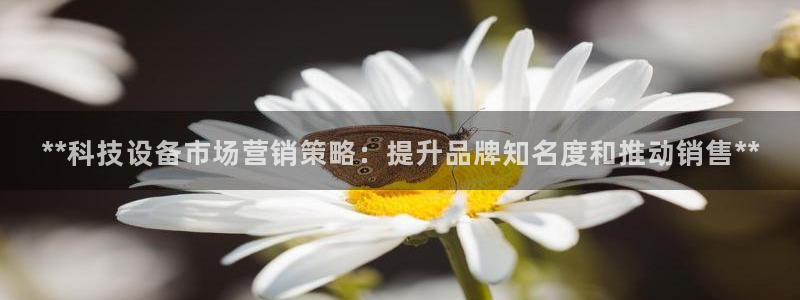 金年会官方入口APP