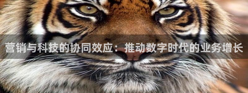 金年会体育全站