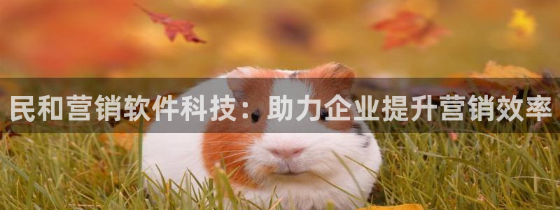 金年会体育在线登陆入口