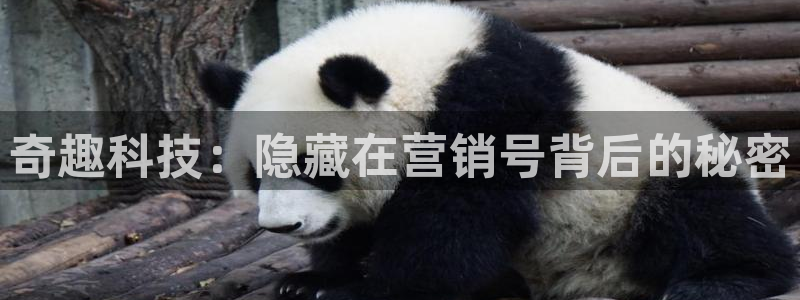 金年会官方入口2023