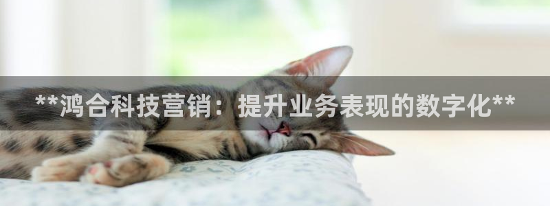 金年会app官网免费下载