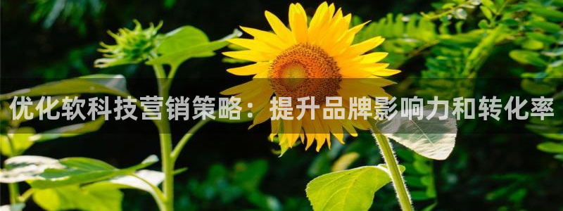 金年会官网中国