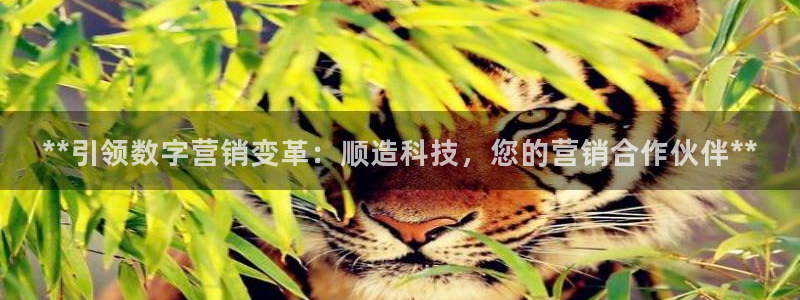 金年会体育是诈骗
