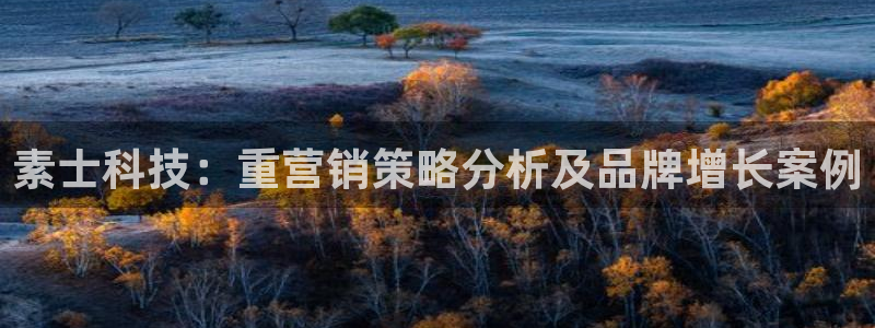 金年会体育app下载官网安卓
