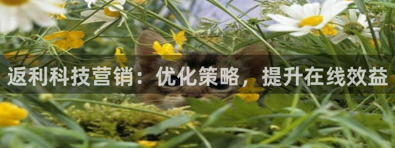 金年会官方入口网站