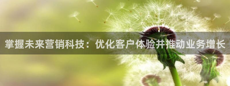 金年会赌博案