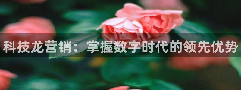 金年会app官方网站是什么